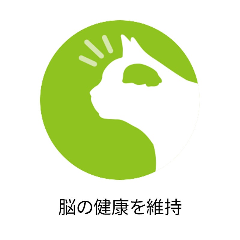 パウチ]健康寿命ケア7歳以上 チキン グレービー仕立て - ピュリナ ワン